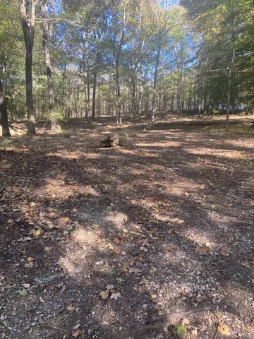 a view of road and trees