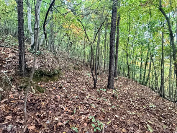 $21,900 | Lot 192 Clinch View Road, New Tazewell, TN 37825
