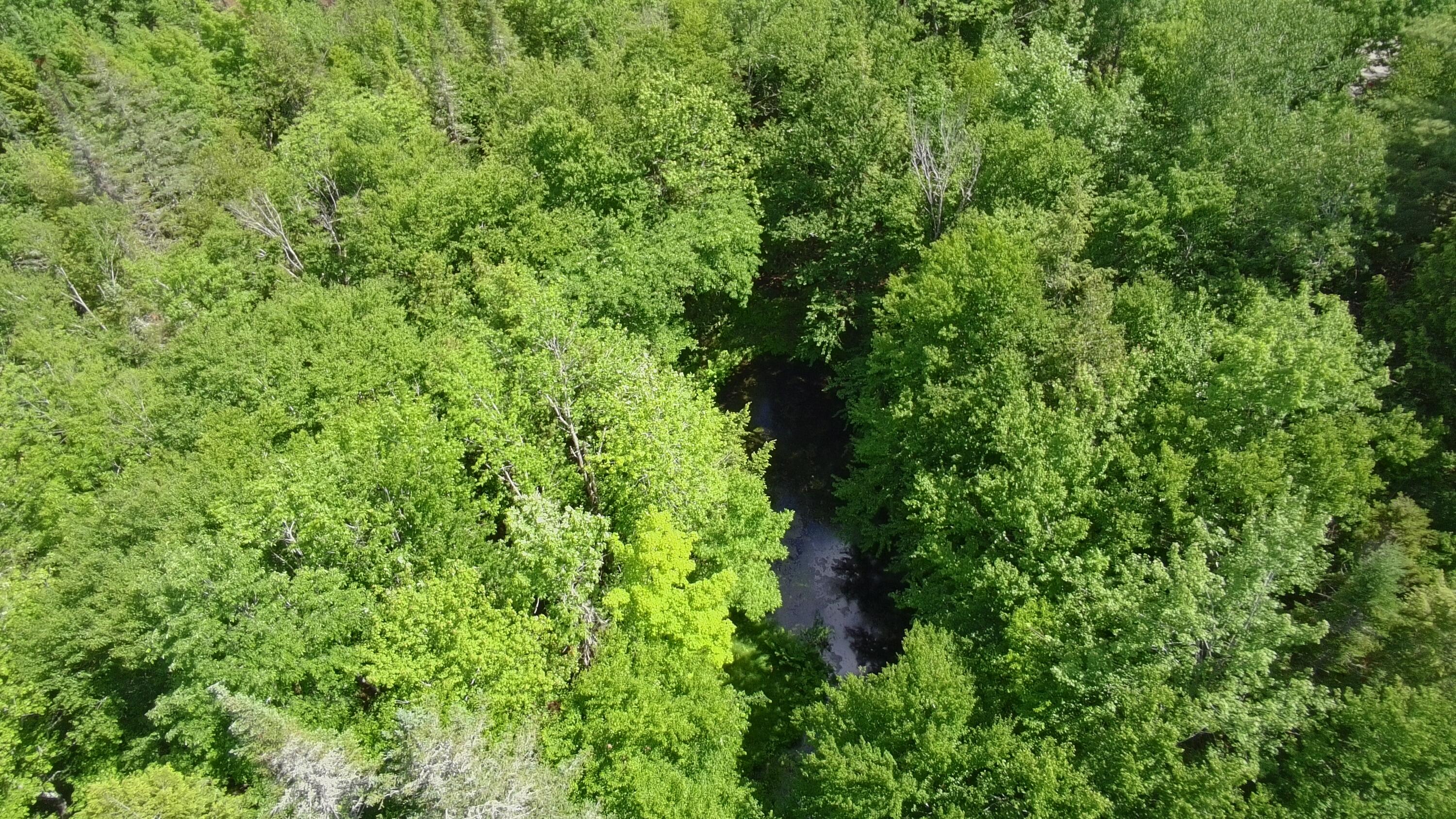 Lot 12-001 Off North Guilford Road Monson, ME 04464 - Photo 45 of 48