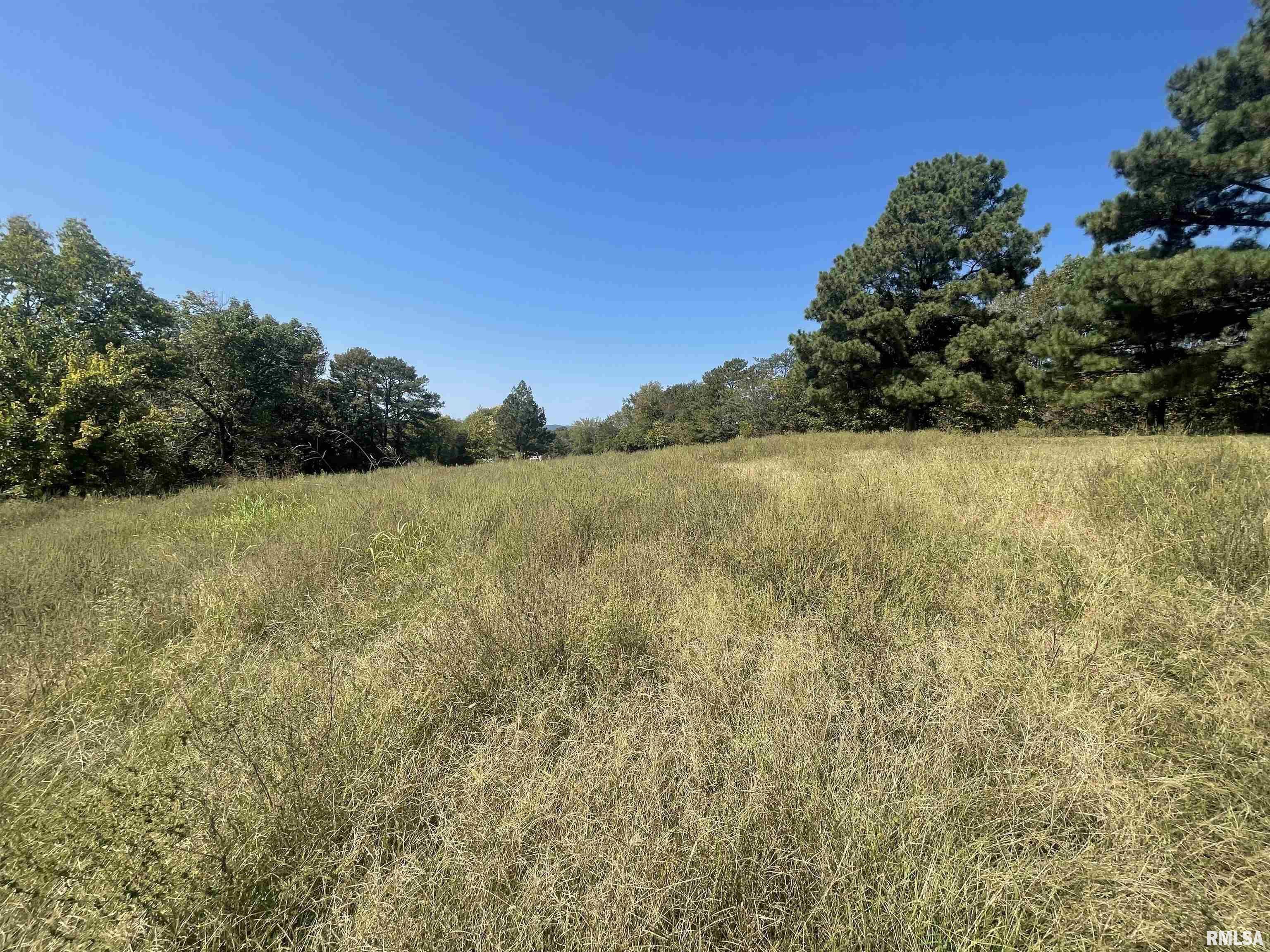 0 Bell Hill Road Cobden, IL 62920 - Photo 2 of 9 Gallery Image 2