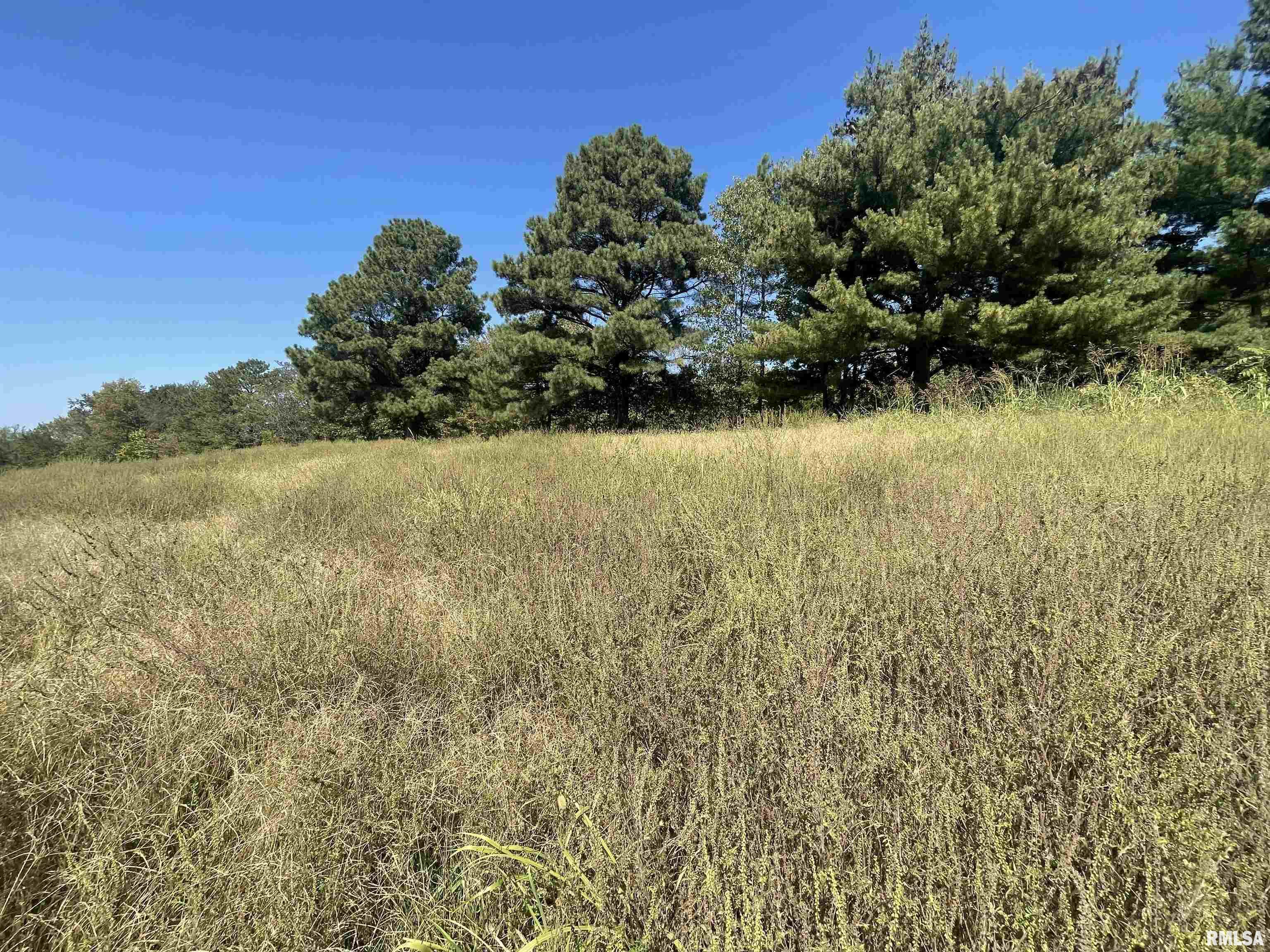 0 Bell Hill Road Cobden, IL 62920 - Photo 6 of 9 Gallery Image 6