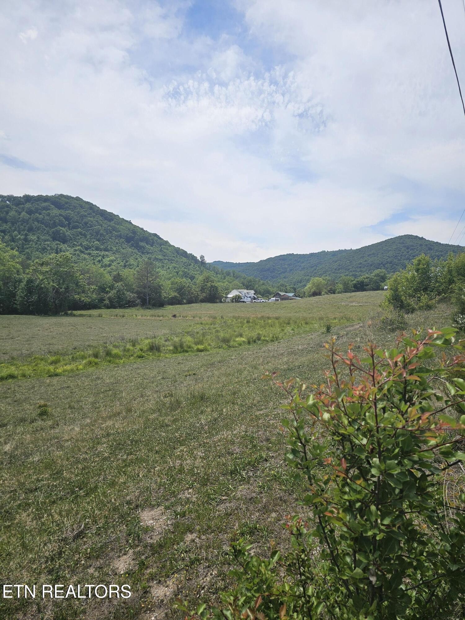 275 Republican Hill Road Newcomb, TN 37819 - Photo 13 of 34 Gallery Image 13