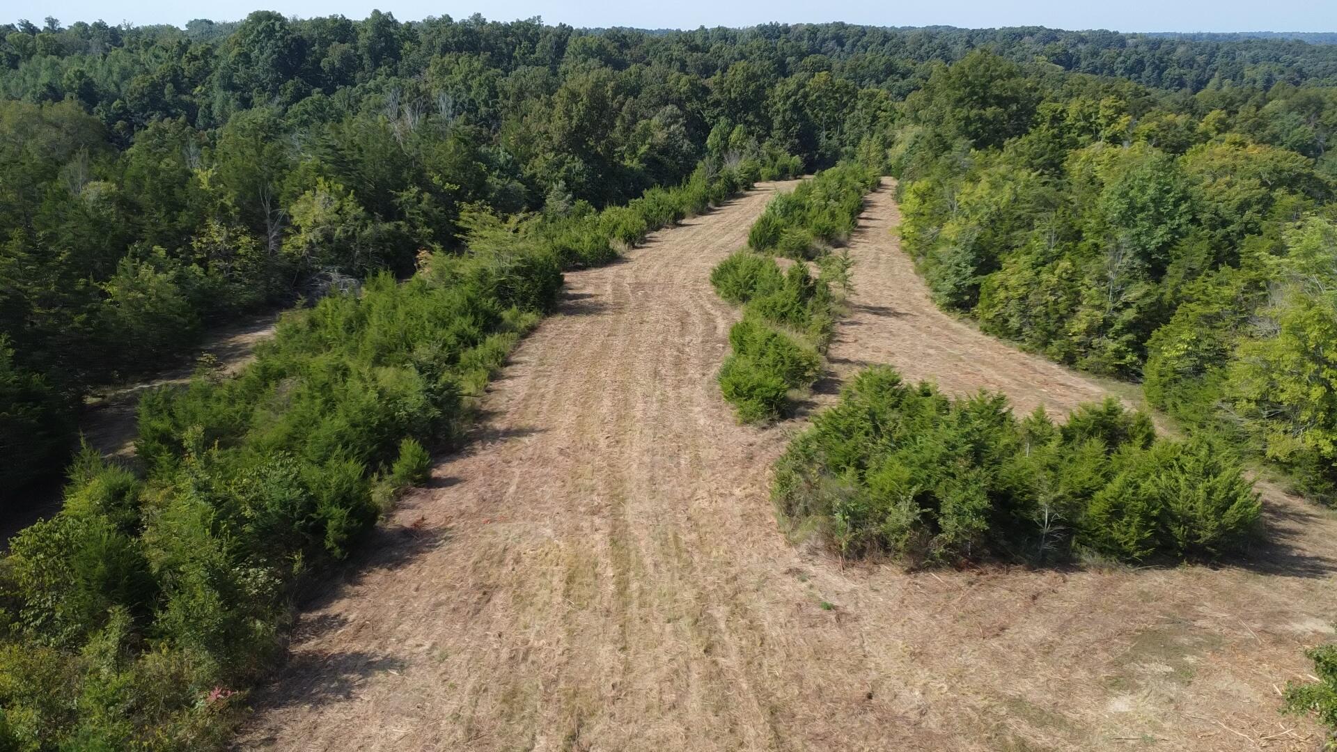 0 County Line Road Columbia, KY 42728 - Photo 20 of 28 333