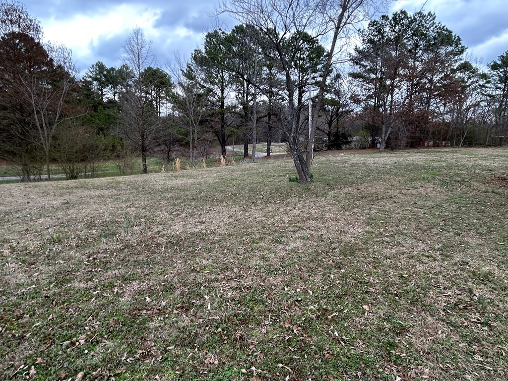 130 Clement Street Big Sandy, TN 38221 - Photo 15 of 17 a view of outdoor space with trees