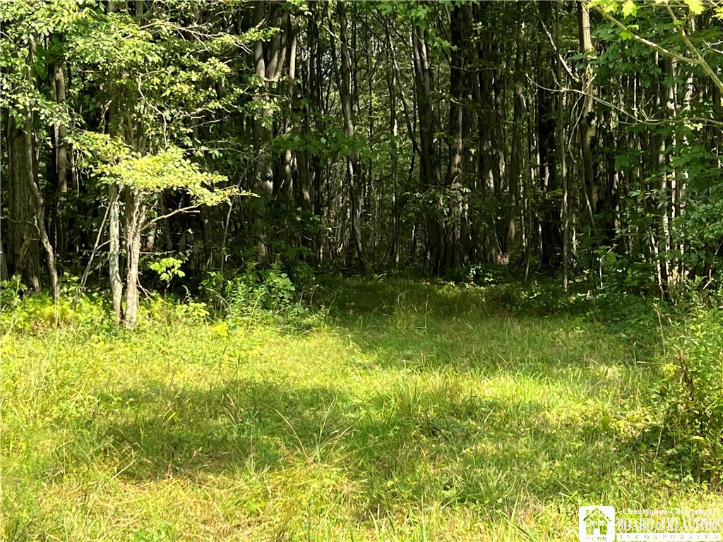 Mead Road North Jamestown, NY 14701 - Photo 15 of 42 Gallery Image 15