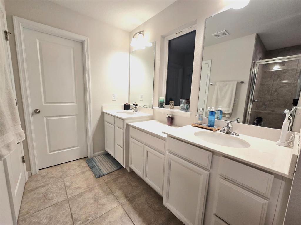 10682 Old Sycamore Loop Land O Lakes, FL 34638 - Photo 12 of 22 a bathroom with a sink and a mirror