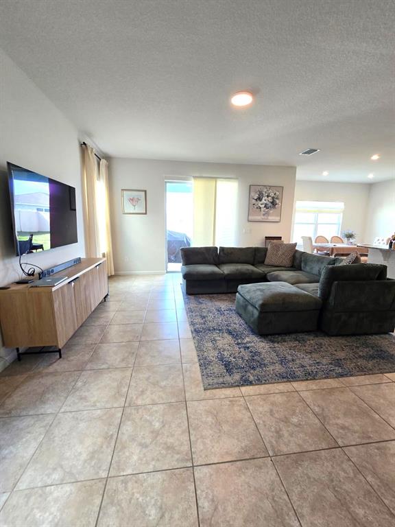 10682 Old Sycamore Loop Land O Lakes, FL 34638 - Photo 7 of 22 a living room with furniture and a flat screen tv