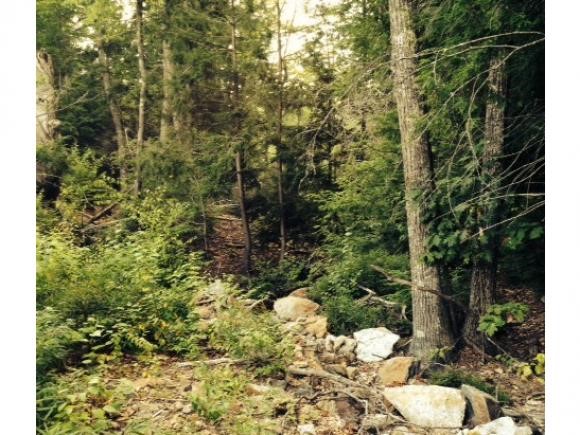 Lot 8-11 Stockbridge Corner Road Alton, NH 03809 - Photo 12 of 15