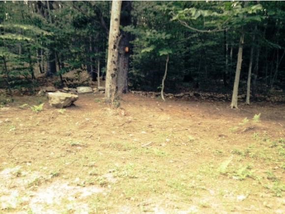 Lot 8-11 Stockbridge Corner Road Alton, NH 03809 - Photo 6 of 15
