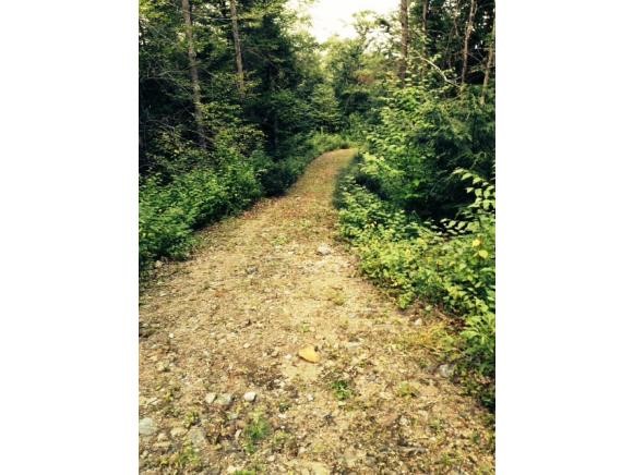 Lot 8-11 Stockbridge Corner Road Alton, NH 03809 - Photo 8 of 15