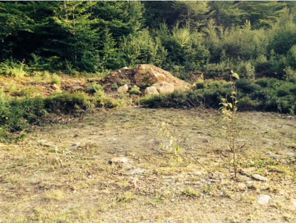 Lot 8-11 Stockbridge Corner Road Alton, NH 03809 - Photo 10 of 15