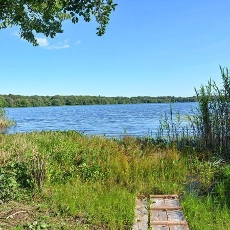 48 Devol Pond Drive Westport, MA 02790 - Photo 39 of 39 a view of a yard