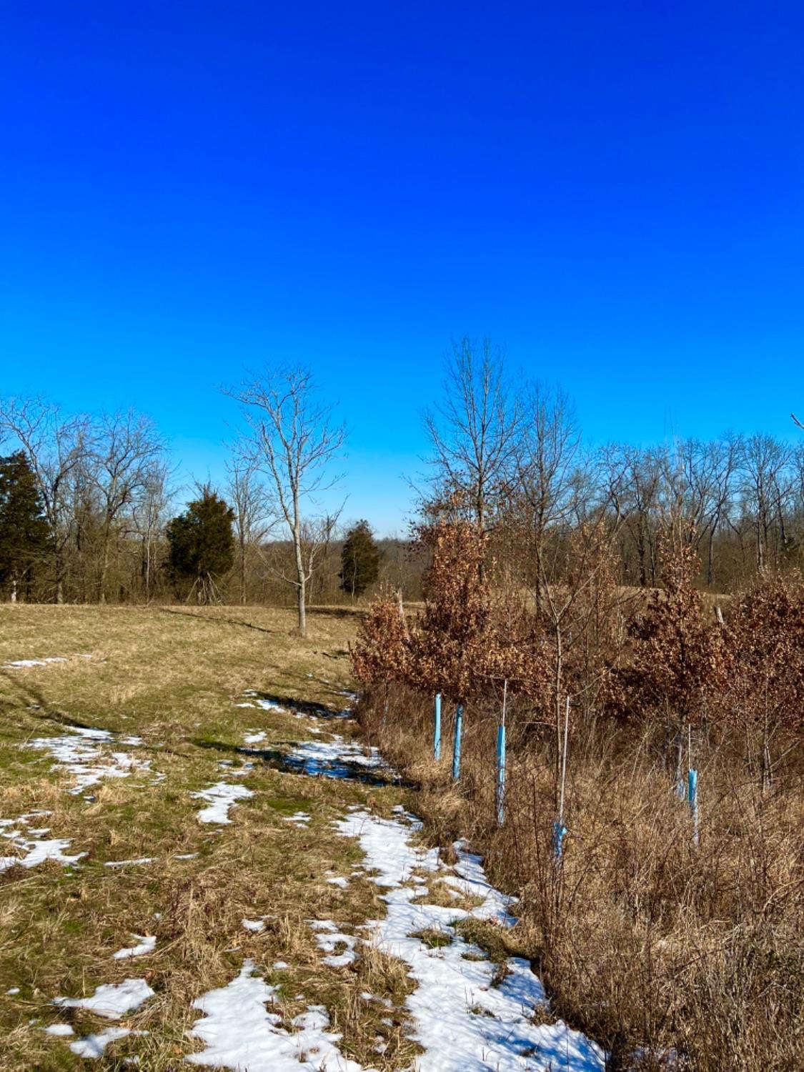 0 Balcony Hills Road Aberdeen, OH 45101 - Photo 31 of 50