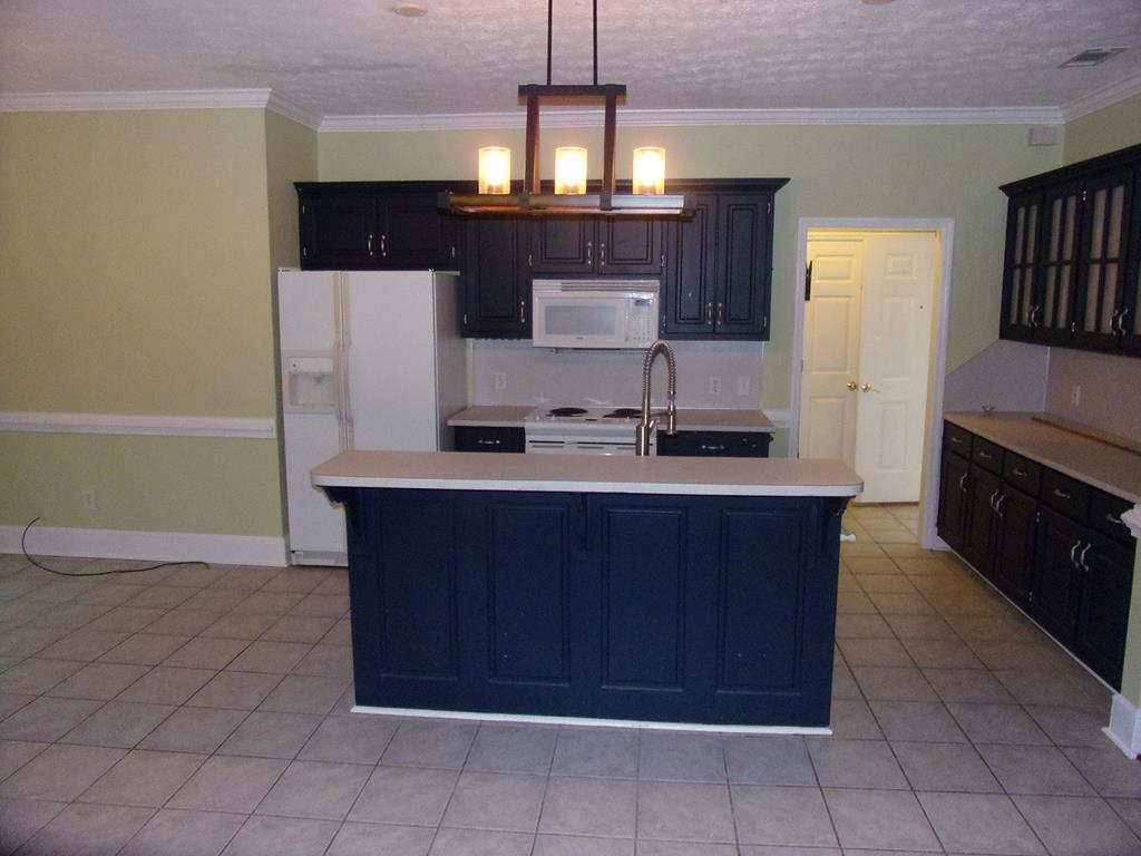 87 Buckeye Loop Midland, GA 31820 - Photo 8 of 28 Kitchen