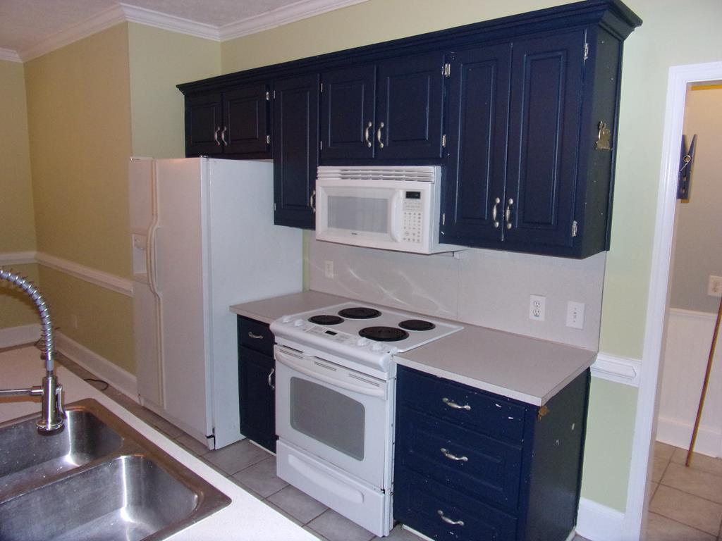 87 Buckeye Loop Midland, GA 31820 - Photo 10 of 28 Kitchen