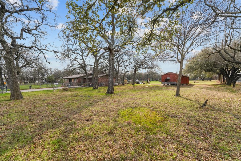 1051 Lynch Bend Road Springtown, TX 76082 - Photo 33 of 39 a view of yard with tree