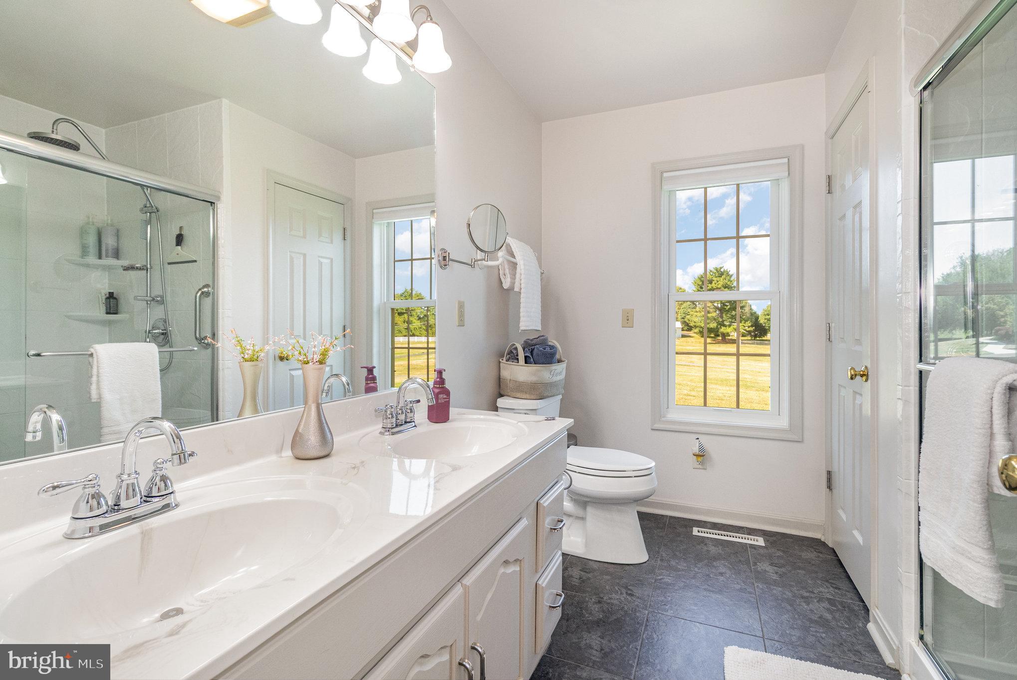 258 Bonnybrook Road Carlisle, PA 17015 - Photo 15 of 31 a bathroom with a double vanity sink a toilet and a window