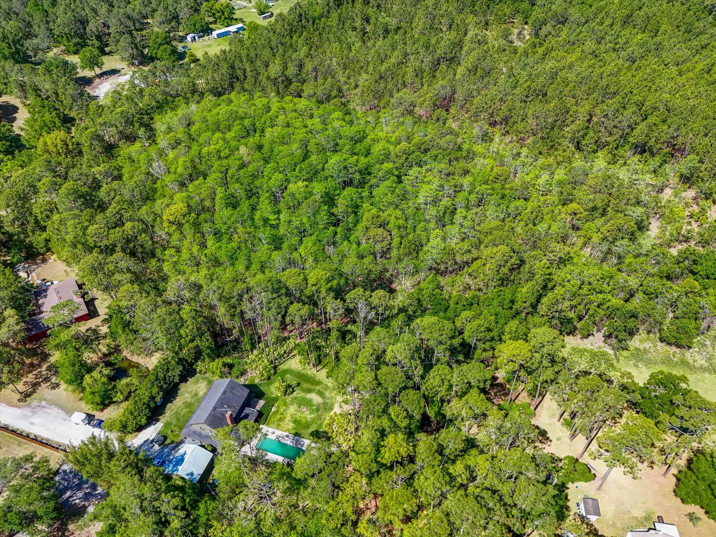 0 Carter Road St. Augustine, FL 32086 - Photo 14 of 19 a view of a lush green forest with a tree