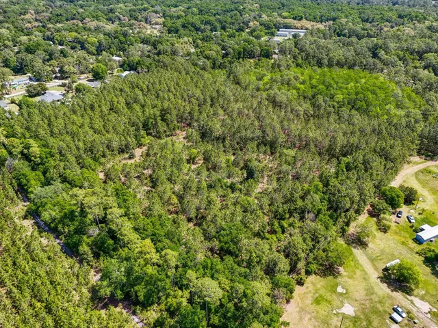 a view of a large yard with lots of bushes