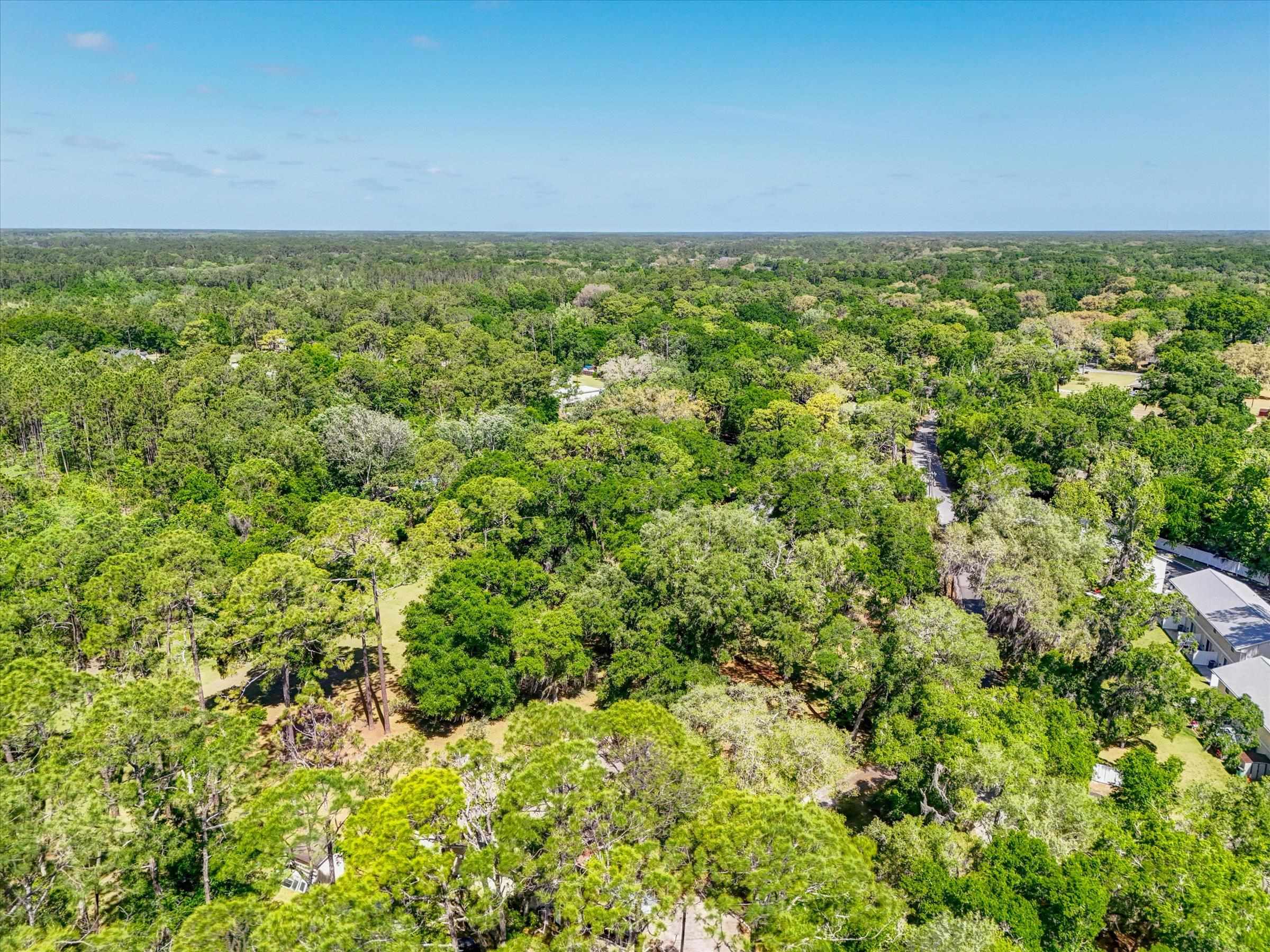 0 Carter Road St. Augustine, FL 32086 - Photo 18 of 19 a view of a field with an outdoor space