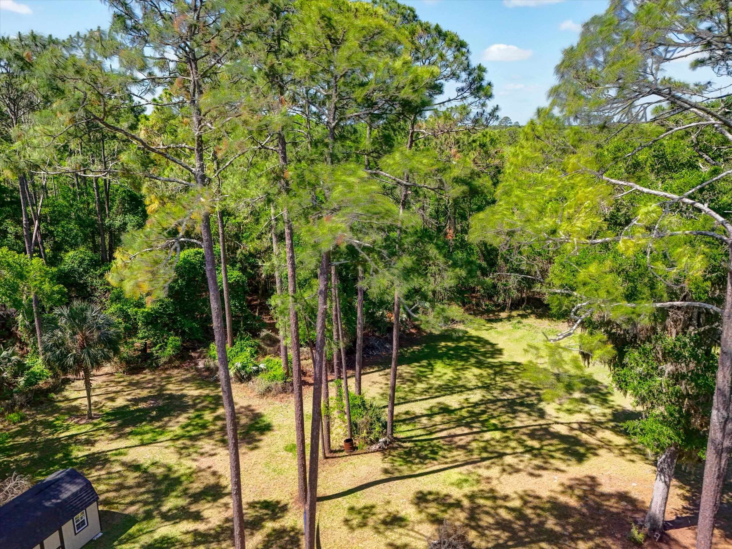 0 Carter Road St. Augustine, FL 32086 - Photo 2 of 19 a view of a yard