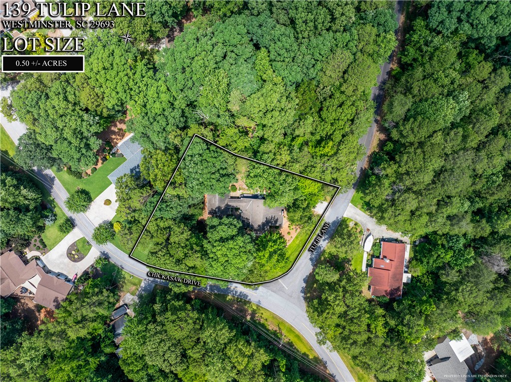 139 Tulip Lane Westminster, SC 29693 - Photo 29 of 37 An aerial perspective showcases a generously sized corner lot, densely covered with mature trees, nestled within a verdant neighborhood.