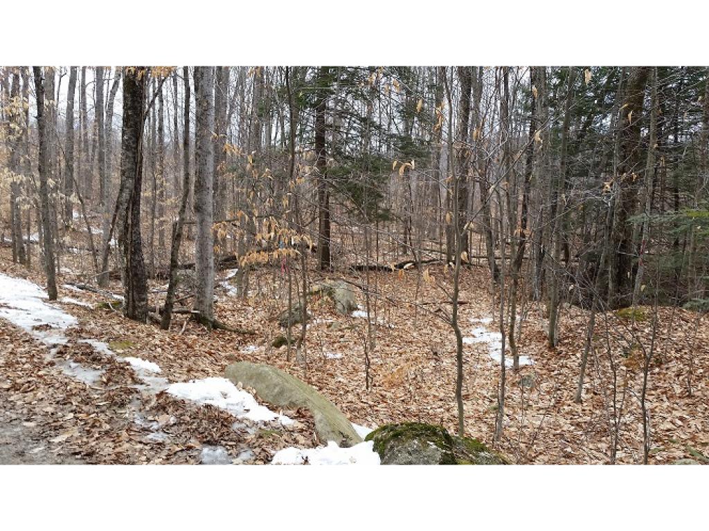 South Mountain Road Perkinsville, VT 05151 - Photo 1 of 4