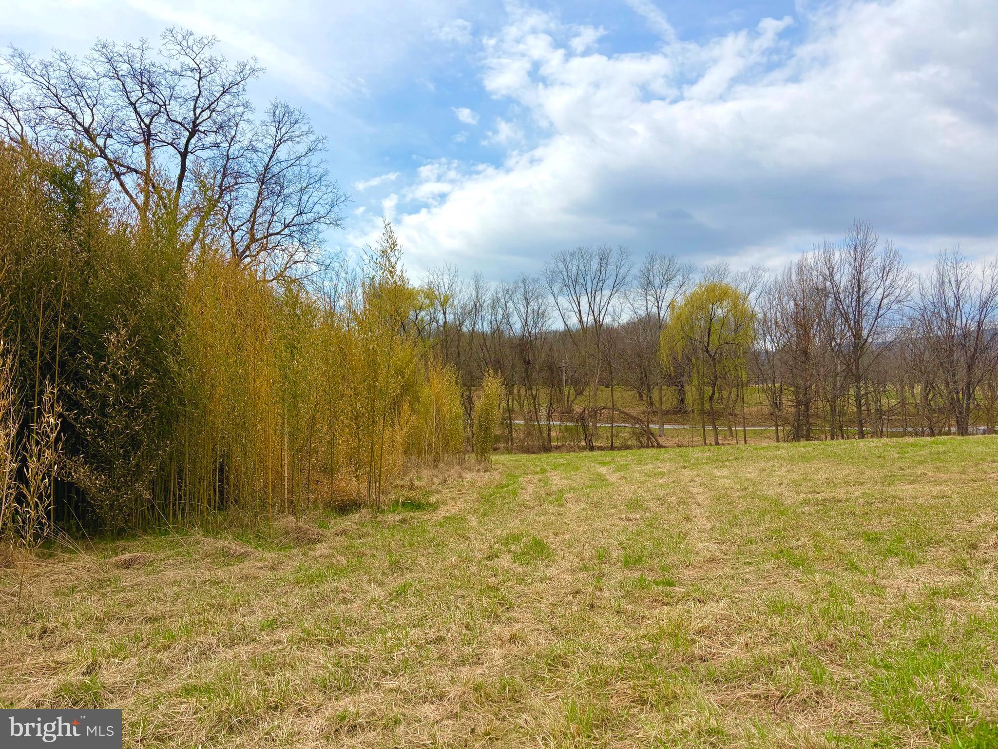 Opossumtown Pike Frederick, MD 21702 - Photo 6 of 12 a view of yard with large tree