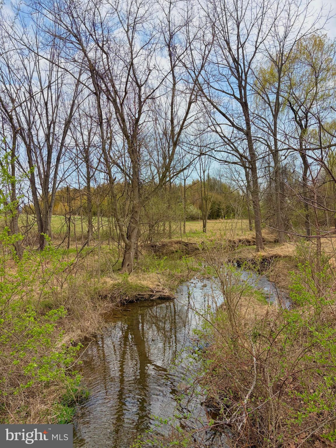 Opossumtown Pike Frederick, MD 21702 - Photo 9 of 12 a view of yard covered with snow