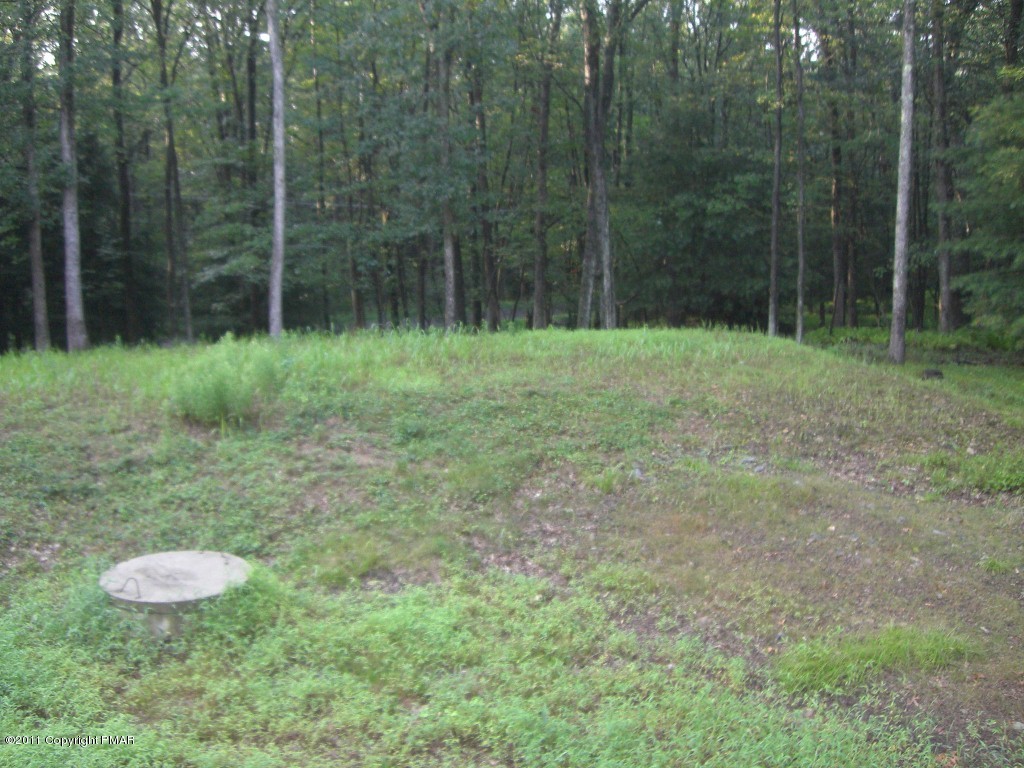 41 Indian Trail Road Jim Thorpe, PA 18229 - Photo 13 of 18 backyard
