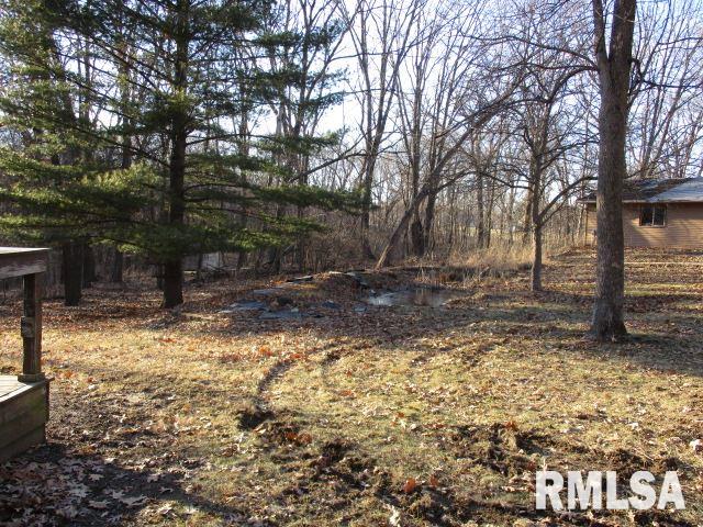 1123 Lakeview Road South Dahinda, IL 61428 - Photo 15 of 24 Gallery Image 15