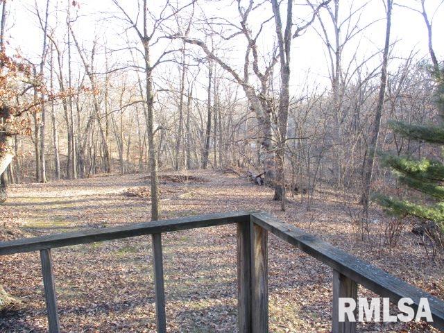 1123 Lakeview Road South Dahinda, IL 61428 - Photo 18 of 24 Gallery Image 18