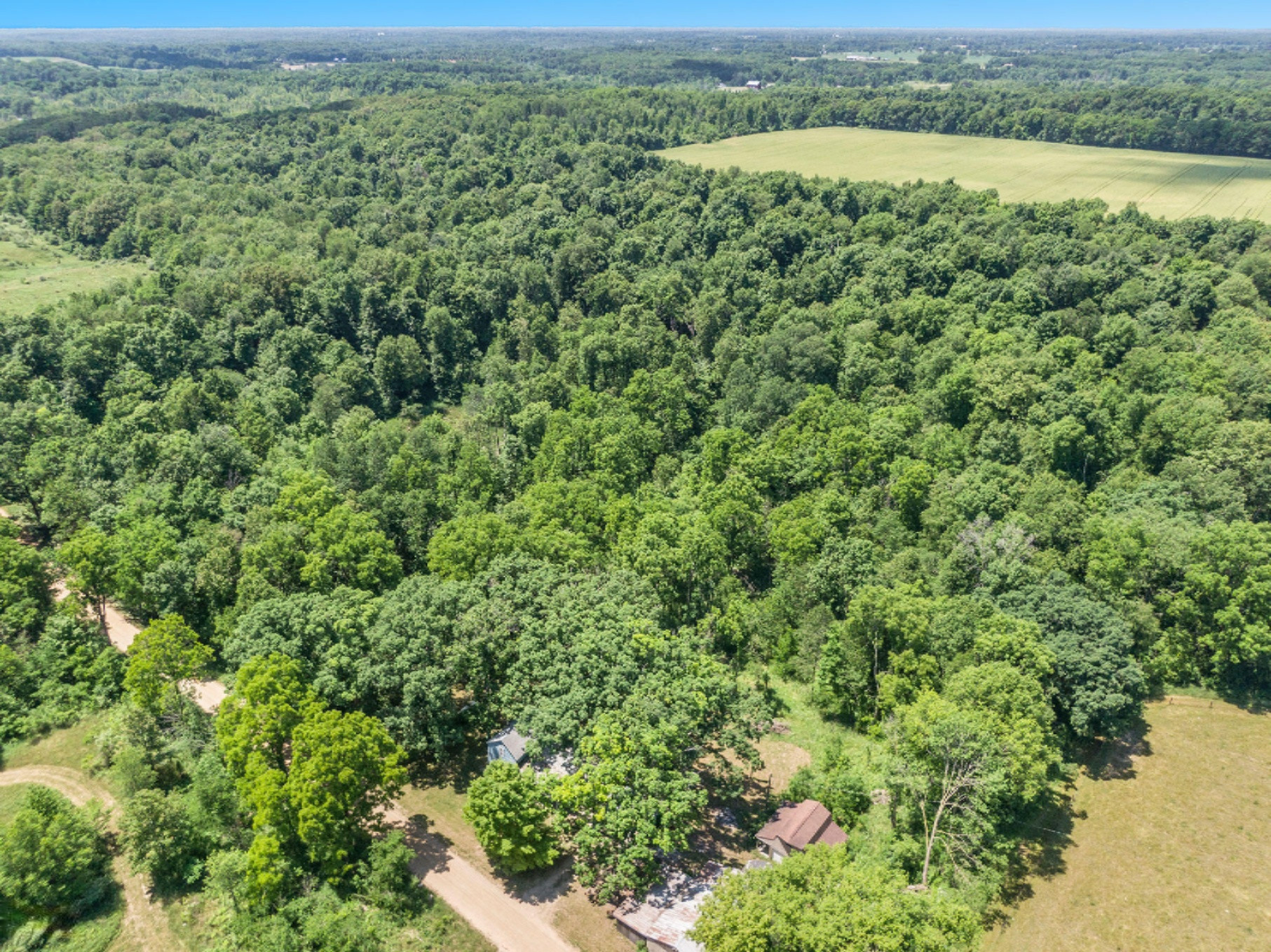 13000 Stuck Road Delton, MI 49046 - Photo 3 of 30 DJI_0534