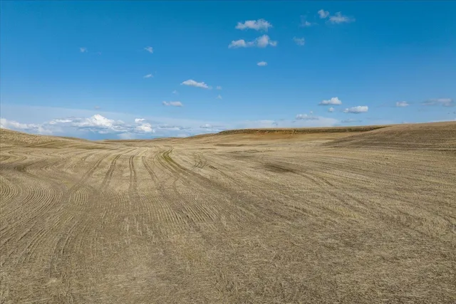 $350,000 | Xx North Coal Springs Road North, Davenport, WA 99122