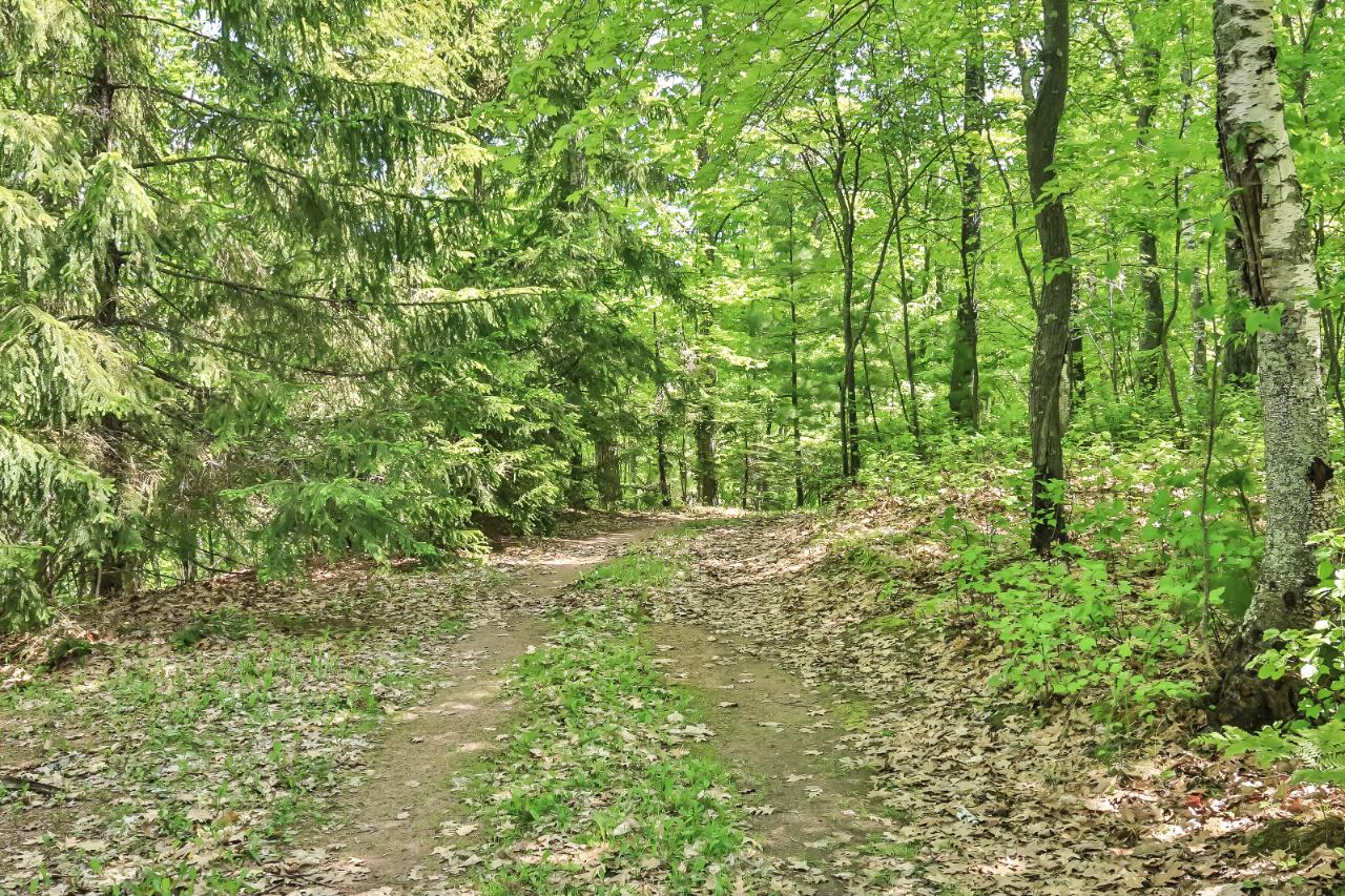 7863 Alva Lake Road Lake Tomahawk, WI 54539 - Photo 24 of 30 Gallery Image 24