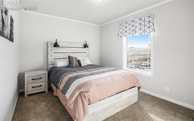7013 Ranch Road Hartsel, CO 80449 - Photo 16 of 23 Bedroom 3