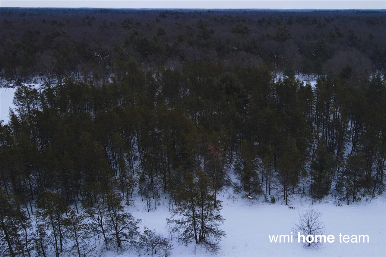 2 West County Line Road Sand Lake, MI 49343 - Photo 4 of 6