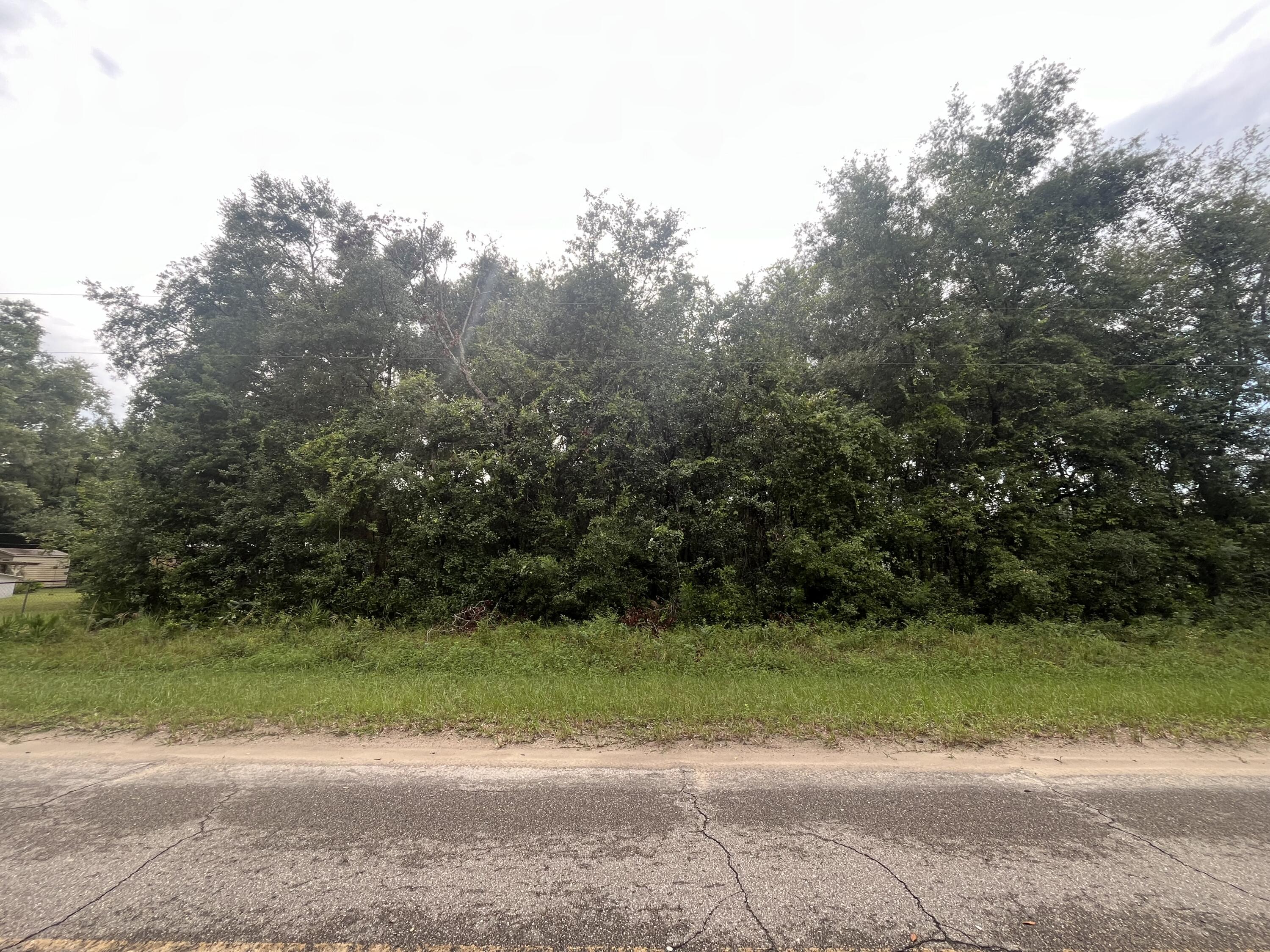 0 Sioux Avenue Interlachen, FL 32148 - Photo 1 of 6 IMG_3239