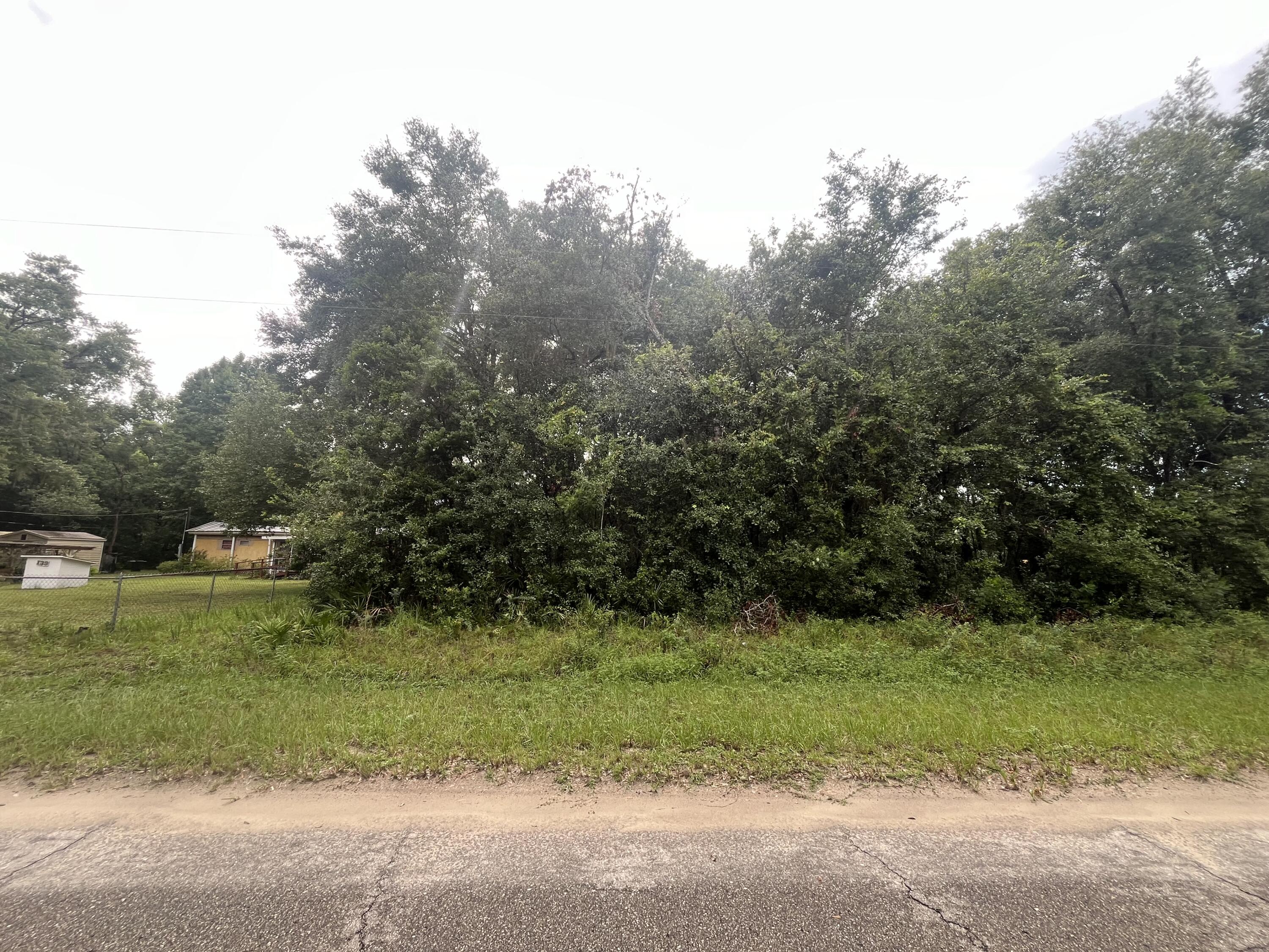 0 Sioux Avenue Interlachen, FL 32148 - Photo 3 of 6 IMG_3241