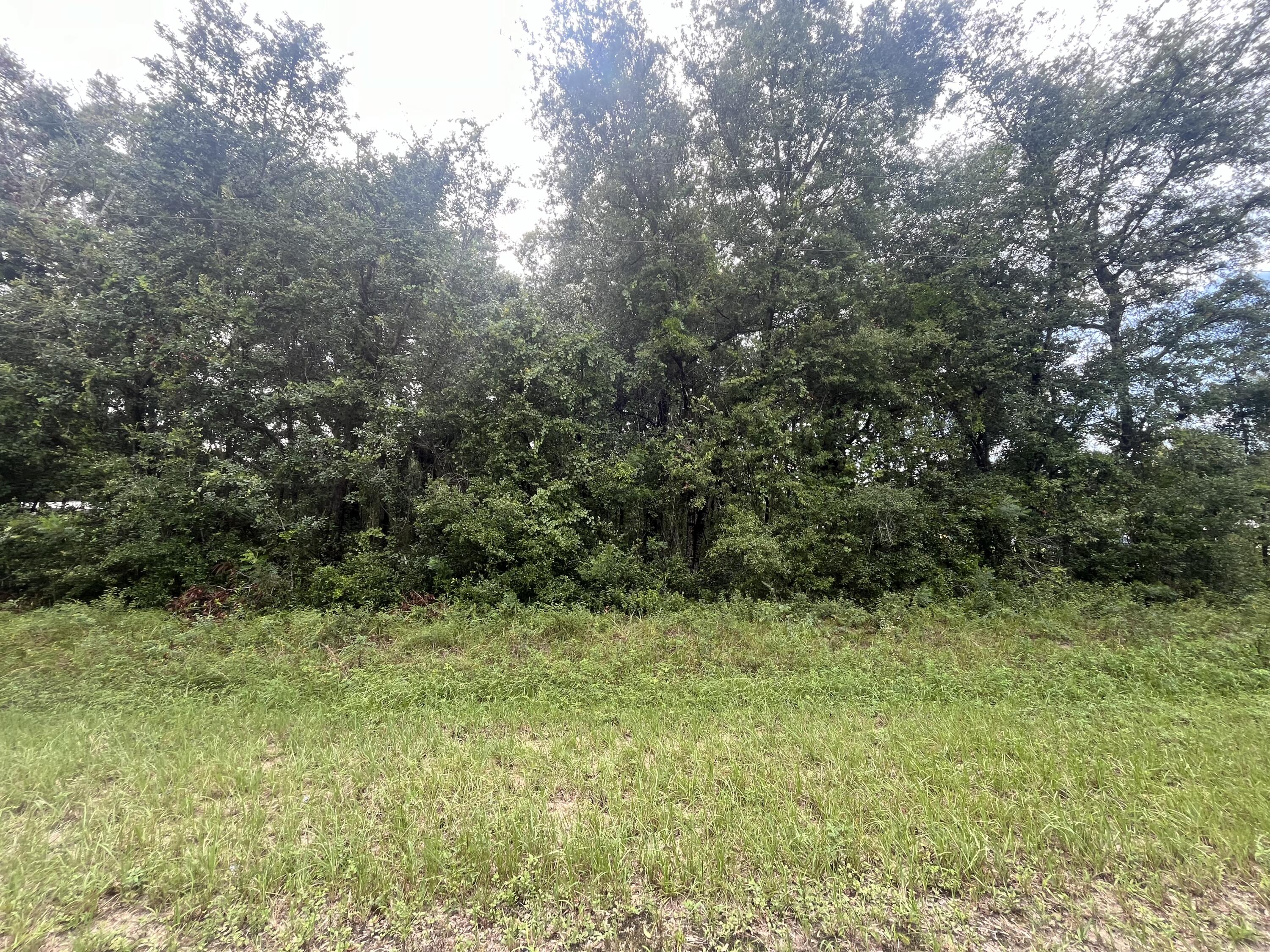 0 Sioux Avenue Interlachen, FL 32148 - Photo 6 of 6 IMG_3244