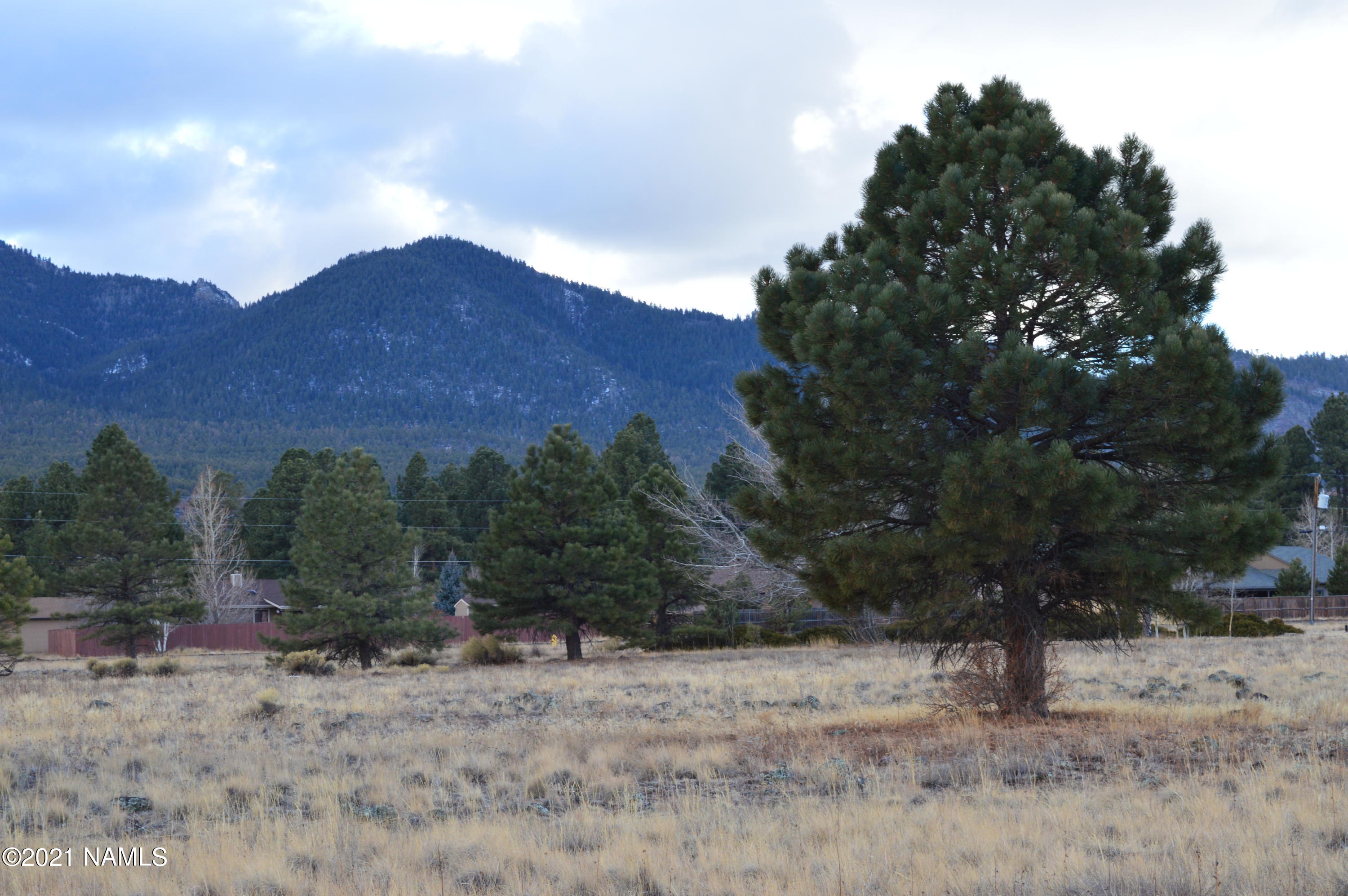 1733 Country Club Road Williams, AZ 86046 - Photo 5 of 12 DSC_0367