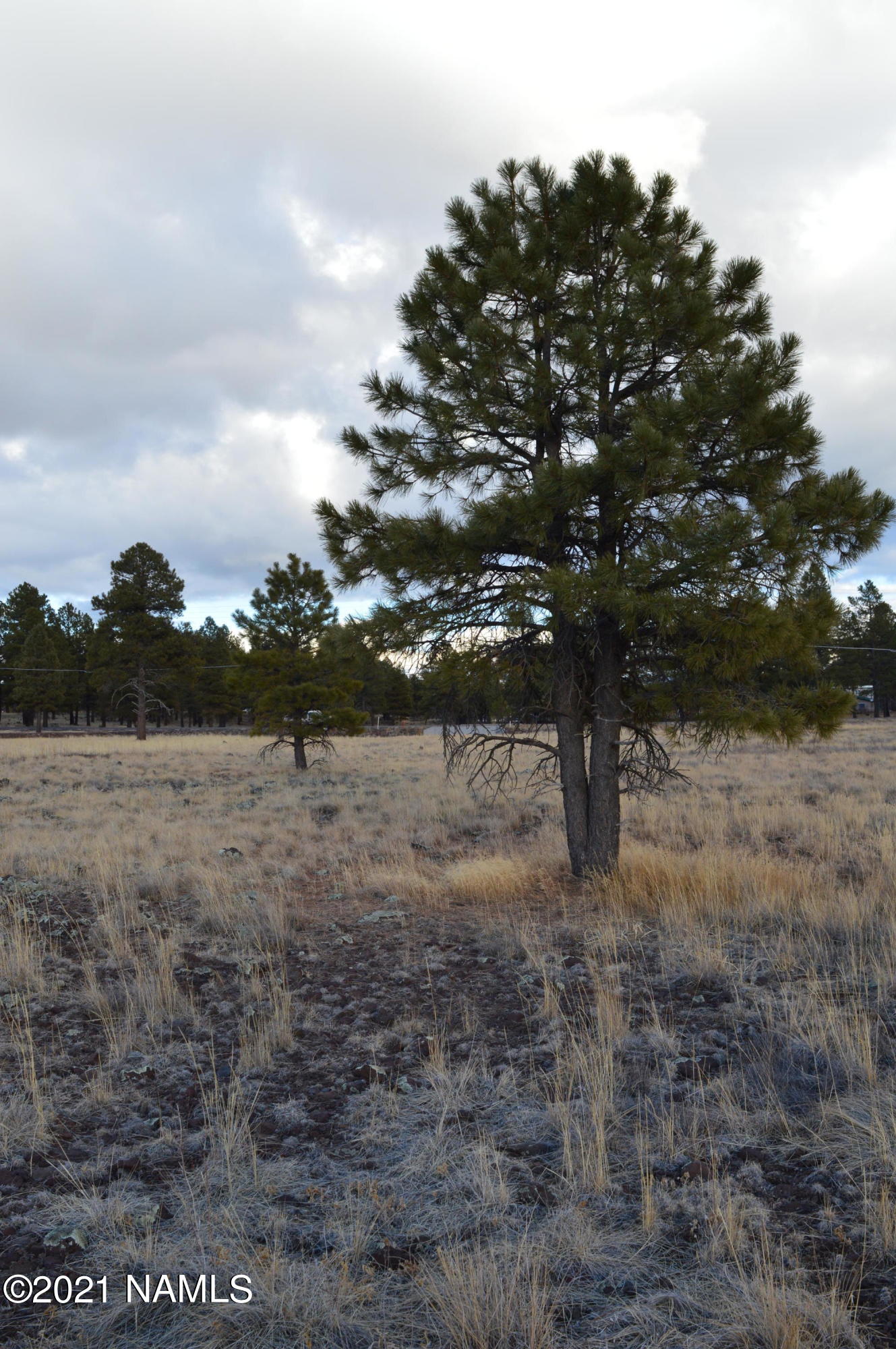 1733 Country Club Road Williams, AZ 86046 - Photo 8 of 12 DSC_0364