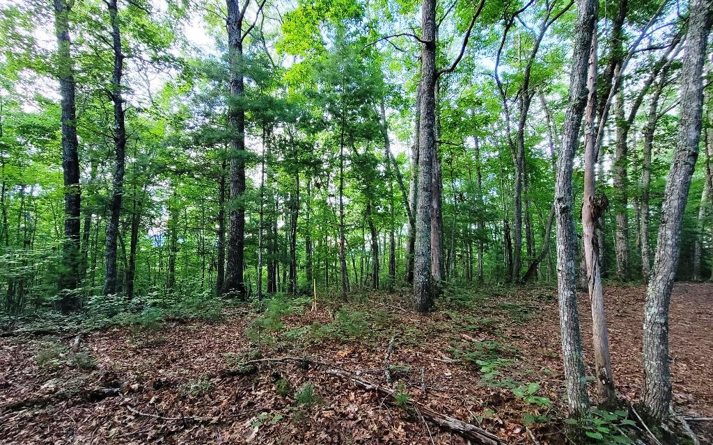Lot 21 Rye Field Road Murphy, NC 28906 - Photo 1 of 1 Main View