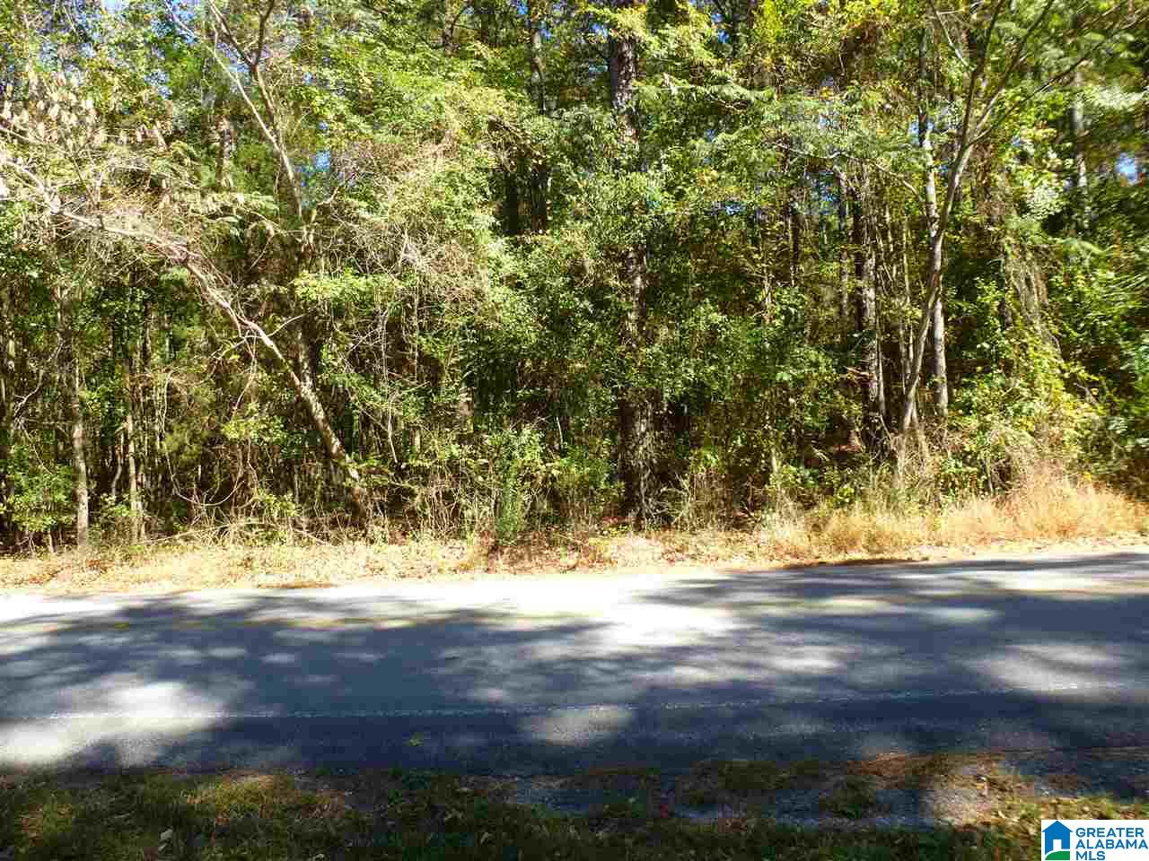 3370 Oak Mountain Park Road, Unit 3 ACRES Pelham, AL 35124 - Photo 6 of 6