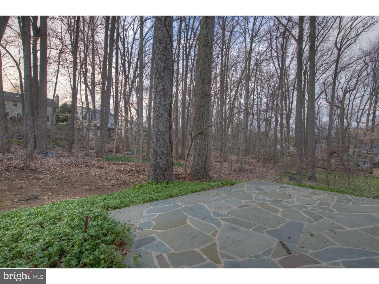 9 Crestview Circle Wayne, PA 19087 - Photo 20 of 23 Back Yard