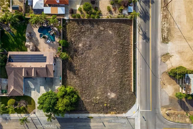a potted plant sitting in front of a building
