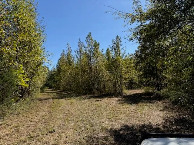 $549,000 | 83 Hays Road, Moscow, TN 38057