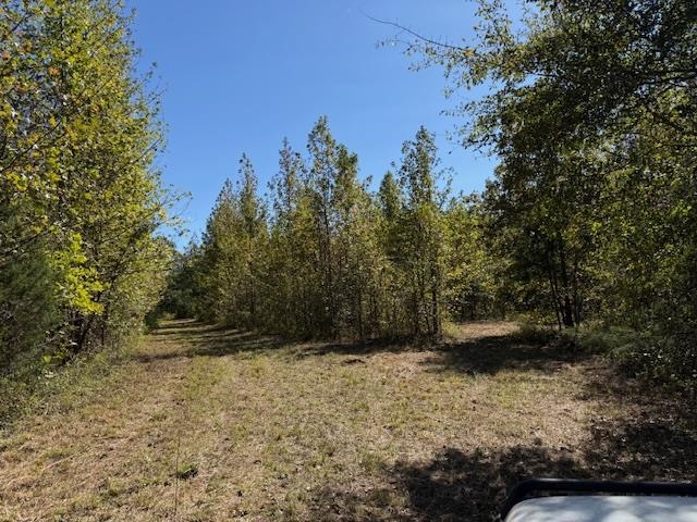 a view of outdoor space and yard