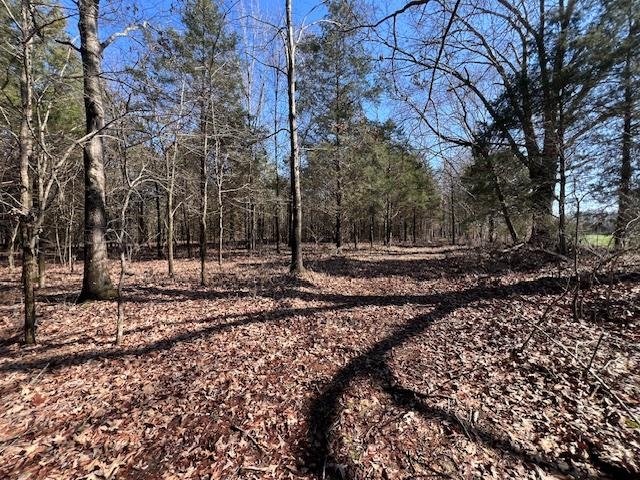 83 Hays Road Moscow, TN 38057 - Photo 11 of 23 a view of a backyard with green space