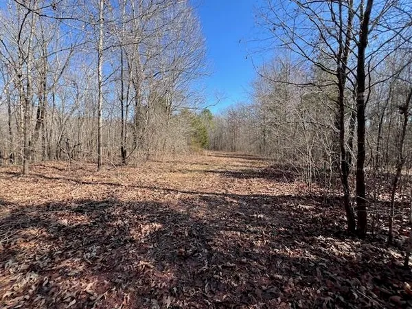 a view of dirt field with trees